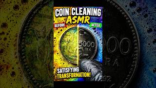 Cleaning A Turkish Coin ASMR 🇹🇷