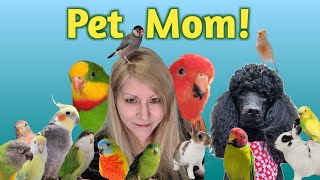 Morning Pet Routine - Feeding my Birds Bunnies & a Poodle!