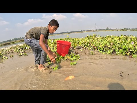 Traditional Boy Hand Fishing Video|Village Fishing Video 2025|