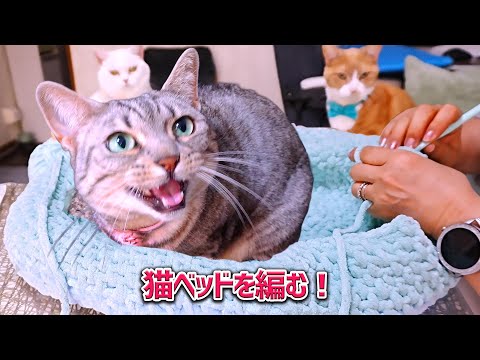 百均のふわふわ毛糸で猫様のベッドを編みました！