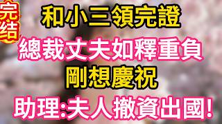 【故事】和小三領完證，總裁丈夫如釋重負，剛想慶祝，助理:夫人撤資出國!#故事#言情小說#一口氣看完#爽文