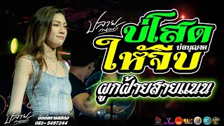 บ่โสดบ่อนุญาตให้จีบ l ผูกฝ้ายสายแนน แสดงสด ปลาย กนกพร