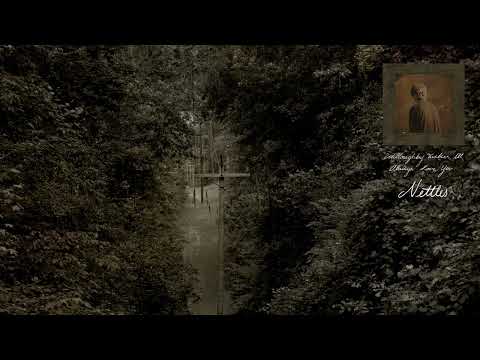 Ethel Cain - Nettles (Official Visualizer)