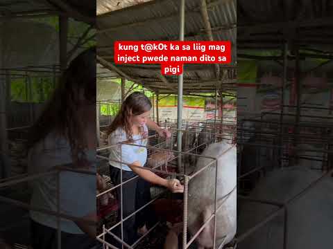 sa pigi kana lang! #pigging #animals #pig #pigfarming #farming #noanimalsharmed #piggy