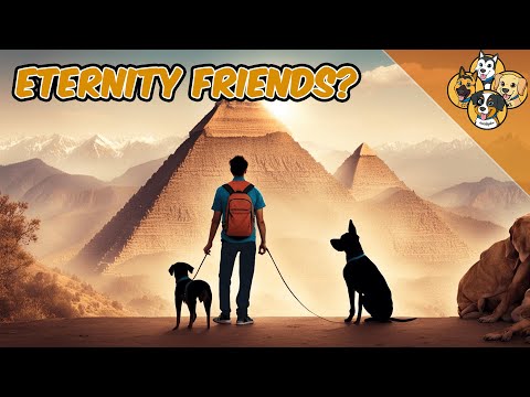 Man's best friend - the history of dogs and humans