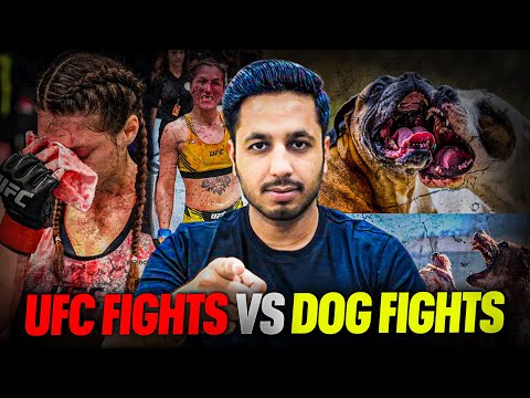 UFC Fighters Vs Dogs Fights | The Reality of Human Fights
