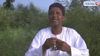 Thierno Moussa Söw ‘’Vers arrestation Wally, le fils D’Amadou Ba