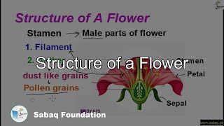 Structure of a Flower