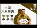 Types and Characteristics of Tea