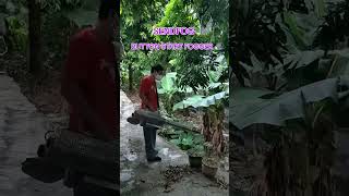 SENDFOG BUTTON START THERMAL FOGGER