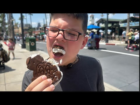 We SURVIVED DISNEY World and Hollywood Studios!