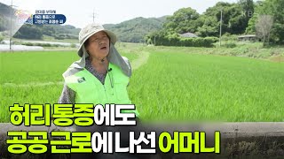 [엄마를 부탁해] 아픈 허리에도 공공 근로에 나서는 조명순 어머니 [생방송 굿모닝 대한민국] | KBS 250726 방송