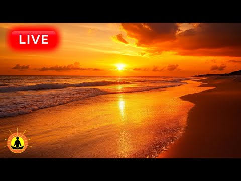 🔴 Relaxing Sunset Ocean Waves Meditation Music 24/7: Calming Music for Stress Relief & Deep Sleeping