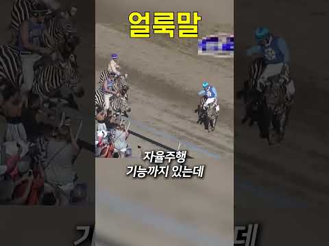 말 대체재를 찾아라!