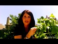 Photosynthesis Concepts and Processes