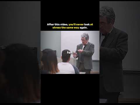 The Weight You Forget to Put Down