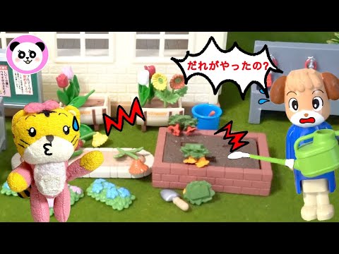 はなちゃん うそはつかないようにしようね！しまじろう | しつけ 子育て 動画 | Poco Channel