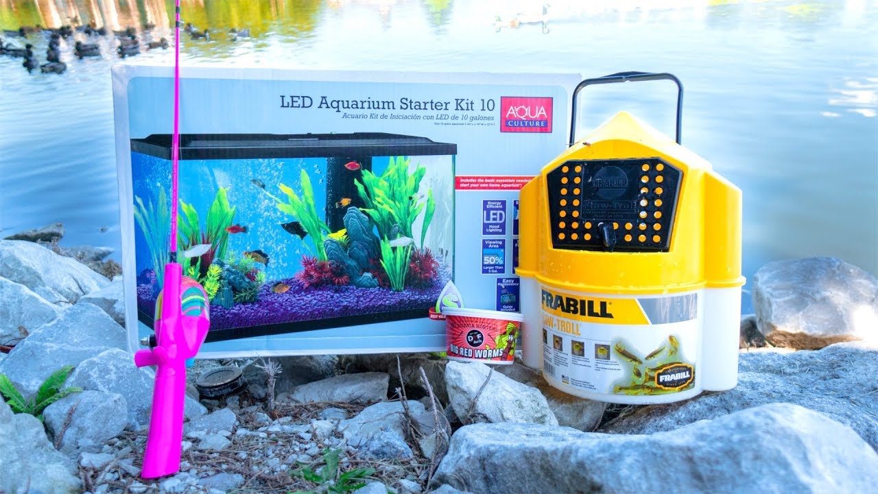 MICRO Fishing for New PET FISH