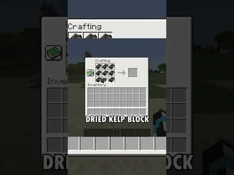 Kelp Is Best Item...