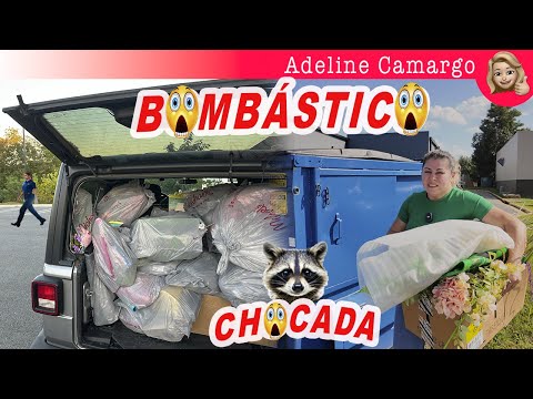 Um dos maiores resgates  que já fiz: 21 sacolas cheias no dumpster