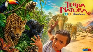 24 HORAS en TERRA NATURA BENIDORM ¡Jaguares, tigres y elefantes!
