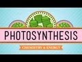 Exploring the Process of Photosynthesis