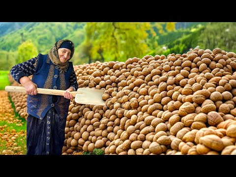 Grandma’s Harvest Secrets: Tons of Fresh Walnuts Turned into Organic Jam!