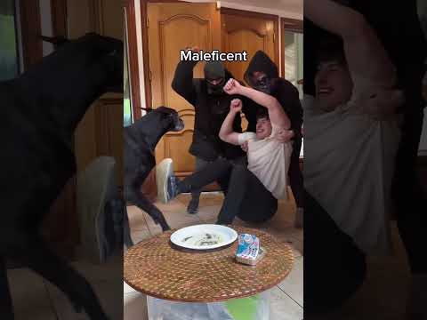 When a "Home Intruder" Comes… My Dog's Reaction Is Priceless 😂#dog#funny