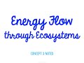 Energy Flow in Ecosystems