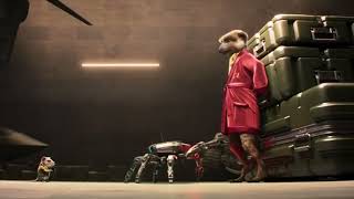 Compare the Meerkat - Advert 128