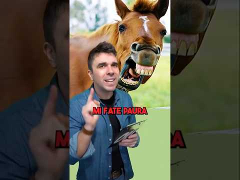 QUAL È LA LUNGHEZZA MEDIA DEL MEMBRO ITALIANO? 😅