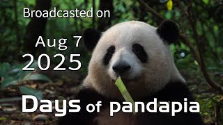 20250807 Broadcast Top Highlights 13