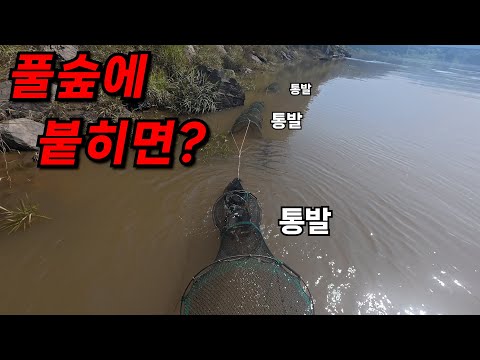 장마 포인트는 바로 여기입니다! 고기들이 다 여기로 모여요!
