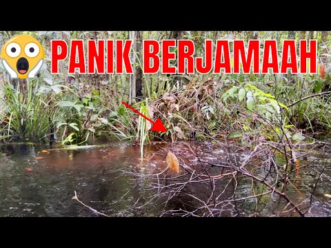 BAPAK INI SAMPAI TRAUMA KARENA PENUNGGU SNAKE RIVER MENGAMUK #454