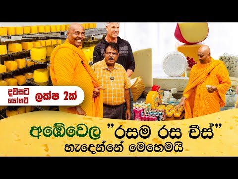 අඹේවෙල රසම රස චීස් හැදෙන්නේ මෙහෙමයි 🧀🧈 Ambewela Farm Dairy Products