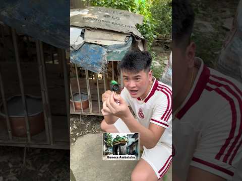 Tìm thấy Boneca Ambalabu quái vật Brainrot trong chuồng chó #funny #brainrot