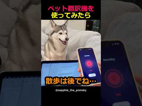 ペット翻訳機を使ってみたら