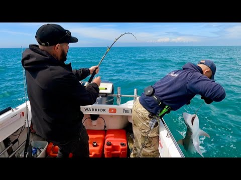 Boat Fishing UK - Fishing for Sharks in The Solent | The Fish Locker