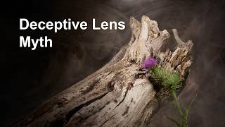 Focal Length Never Changes Perspective