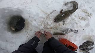 видео
