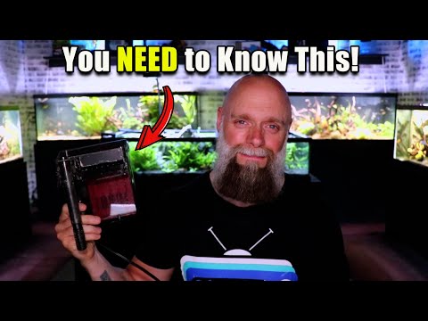 You Need to Know This About Aquarium Filtration!