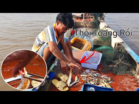 Thuyền Trưởng ĐỔ M.Á.U khi bị con cá này cắn không nhả | Ngư Dân Miền Tây #194