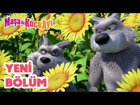 Maşa İle Koca Ayı - Yeni bölüm 2025! 🍲 Çorba Sevdası 🥕🥔 Bölüm koleksiyonu 🎬