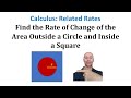 Rate of Change in Geometric Shapes