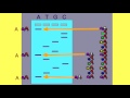 DNA Sequencing Techniques and Concepts