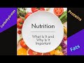 Exploring the Fundamentals of Nutrition: Carbohydrates, Proteins, and Fats