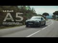 Audi A5 Basis
