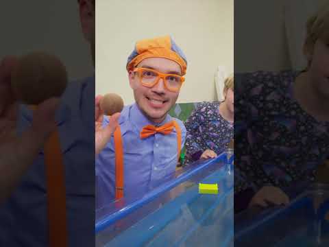 Sink and Float Mystery Ball! | Blippi Songs 🎶| Educational Songs For Kids
