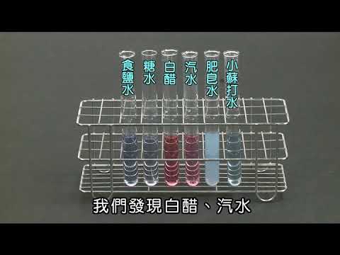 自製紫色高麗菜汁酸鹼指示劑 - YouTube