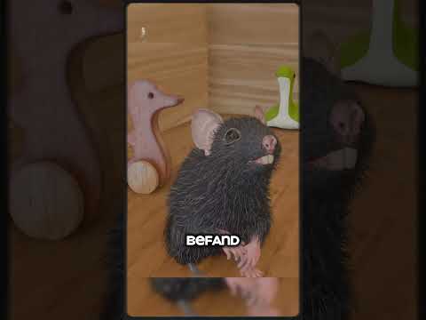 Das Rattenpark-Experiment 😳#ratten #rat #experiment #geschichte #geheimnis